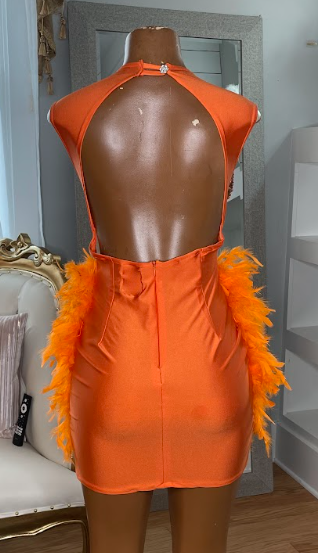 Ecstatic Orange